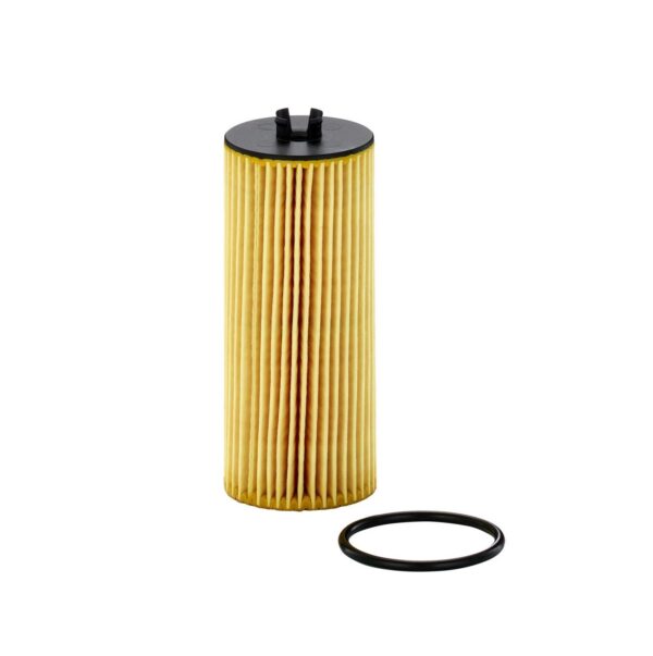 MANN-Filter  Oil Filter   HU 6008 z   ,  (EN:5906)