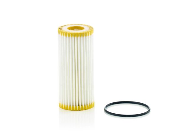 MANN-Filter  Oil Filter   HU 6013 z   ,  (EN:8161/1478)